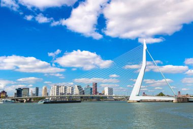 Rotterdam 'daki Erasmus Köprüsü