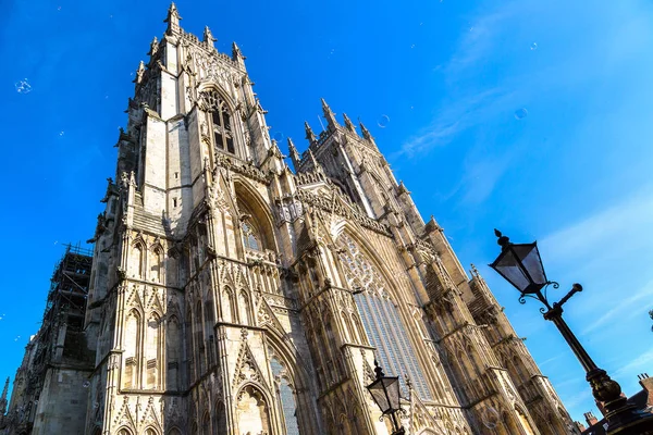 Kathedraal van York Minster — Stockfoto