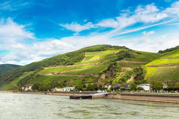 Romantique vallée du Rhin — Photo