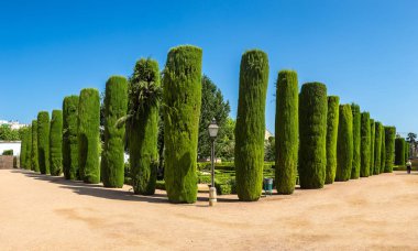 Cordoba Alcazar'ndaki bahçeler