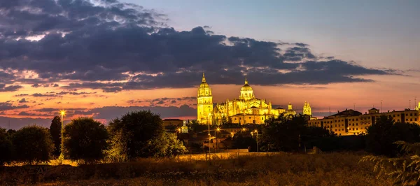 Panorama of Cathedral in Salamanca — Stock Photo, Image