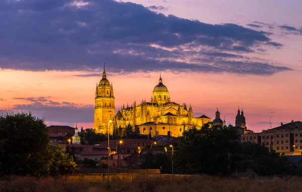Panorama of Cathedral in Salamanca — Stock Photo, Image