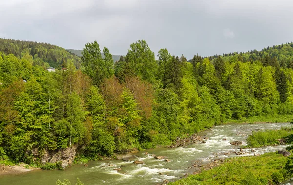 Panorama de la rivière de montagne — Photo