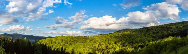 Panorama de las montañas Cárpatas —  Fotos de Stock