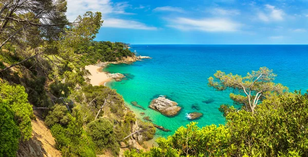 Felsen an der Küste von Lloret de mar — Stockfoto