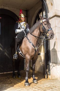 Royal horse korumaları