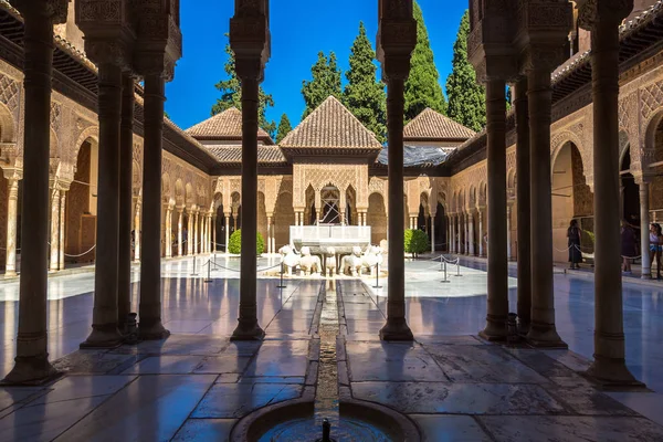 Суд левів у палаці Альгамбра — стокове фото