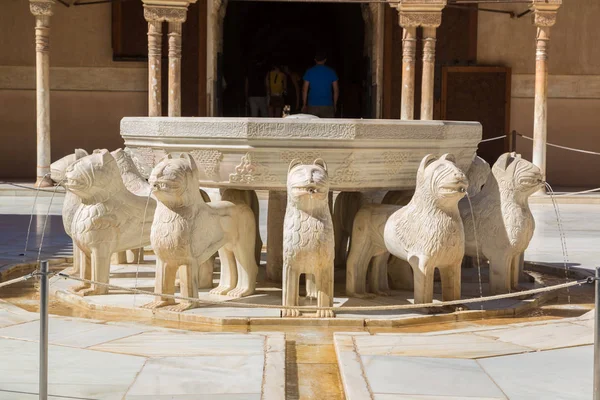 Суд левів у палаці Альгамбра — стокове фото