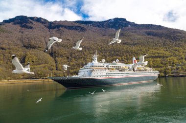cruise gemi Norveç
