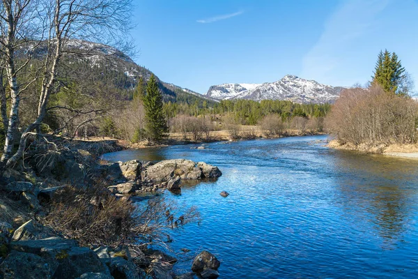 Панорама реки в Норвегии — стоковое фото