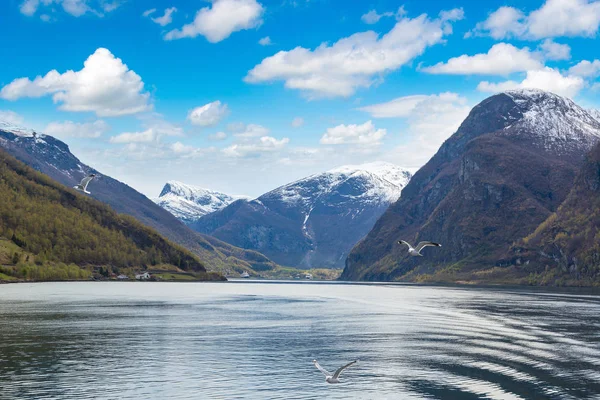 Schöner Sognefjord in Norwegen — Stockfoto