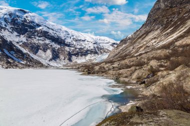 Norveç'te Nigardsbreen Buzulu