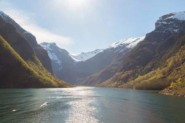 Gyönyörű Sognefjord Norvégiában — Stock Fotó