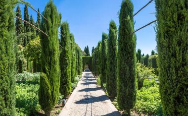 Granada'da Alhambra palace bahçelerinde