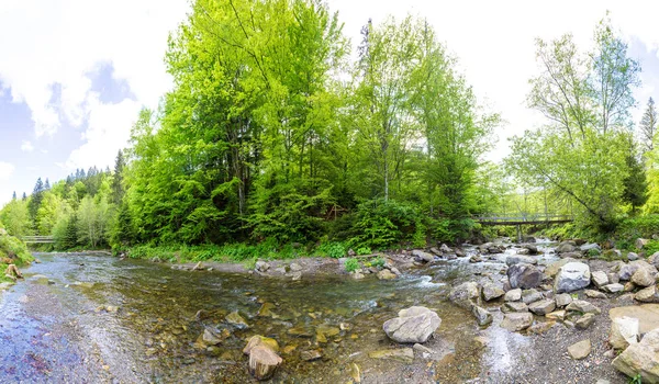 Mountain river in Carpathian forest — Stock Photo, Image