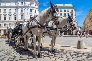 Viyana 'da at arabası