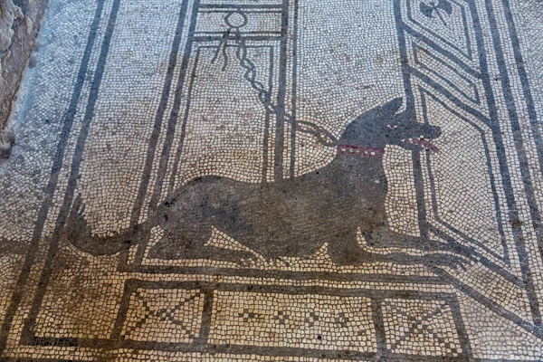 Pompeii városa, Olaszország — Stock Fotó