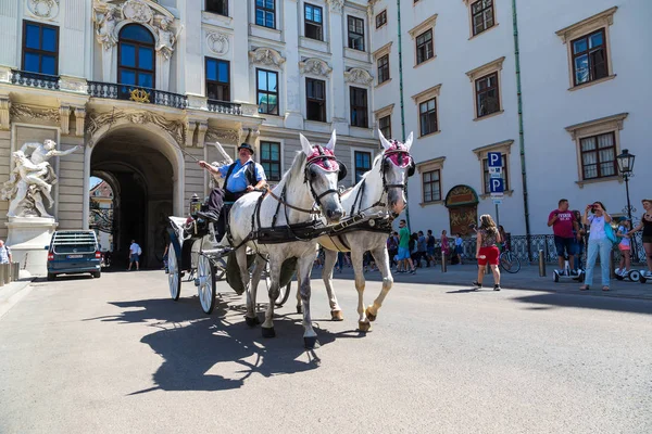Άλογο μεταφορά στη Βιέννη — Φωτογραφία Αρχείου