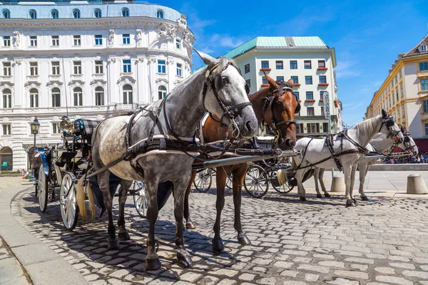 Koňským povozem ve Vídni — Stock fotografie