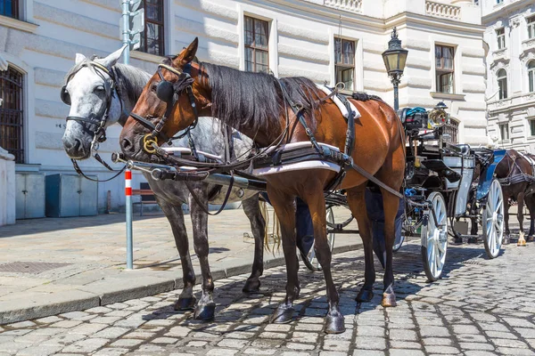 Carruagem de cavalo em Viena — Fotografia de Stock