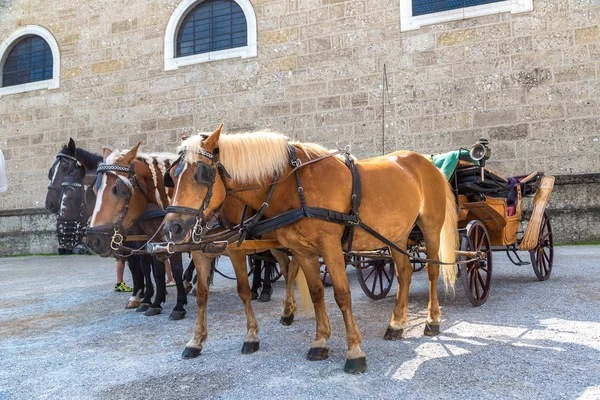 Kutsche mit Pferden in salzburg — Stockfoto