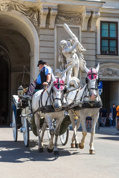 Horse carriage in Vienna — Stock Photo, Image