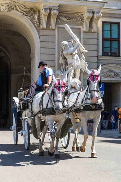 Pferdekutsche in Wien — Stockfoto