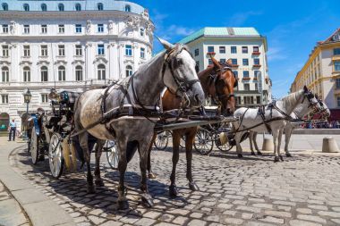 Viyana 'da at arabası