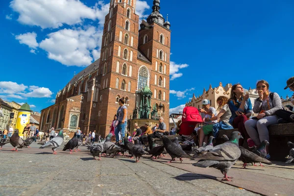 Palomas en el casco antiguo de Cracovia — Foto de Stock
