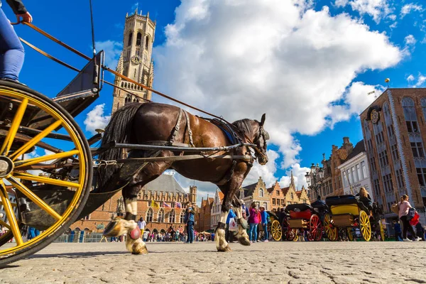 Carruagem de cavalo em Bruges — Fotografia de Stock