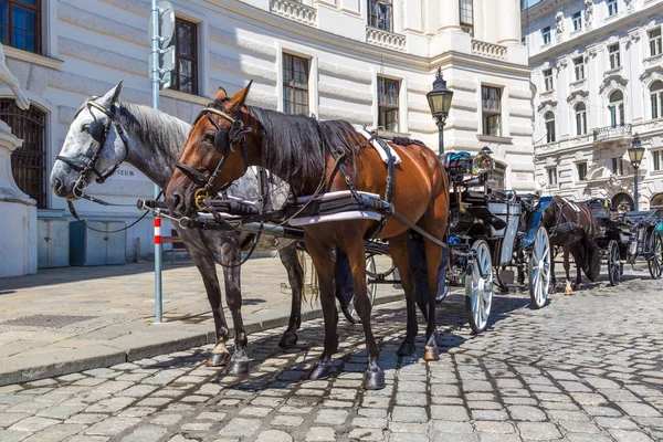 Carruagem de cavalo em Viena — Fotografia de Stock