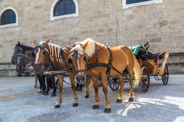 Kočár s koňmi v Salcburku — Stock fotografie