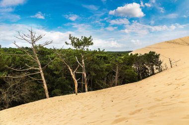 Dune Pilat Arcachon Bay Fransa