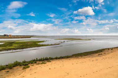 Arcachon Bay istiridye Köyü