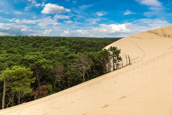 Dune Pilat Arcachon Bay Fransa