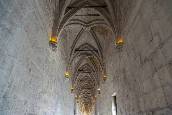 Avignoni Pápai palota — Stock Fotó