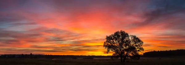 Roter Sonnenaufgang über dem Feld — Stockfoto