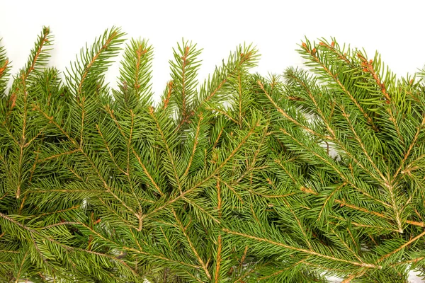 Quadro verde de Natal — Fotografia de Stock