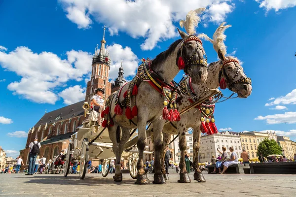 Häst vagnar i Krakow — Stockfoto