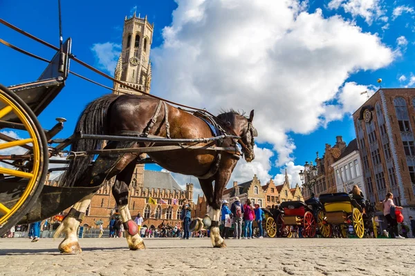 Carruagem de cavalo em Bruges — Fotografia de Stock