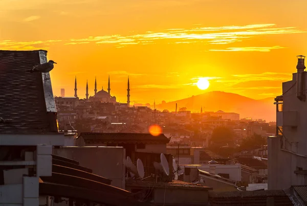 Coucher de soleil à la Mosquée Bleue d'Istanbul — Photo