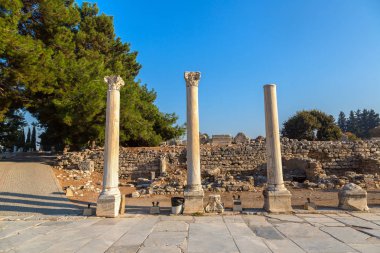 Antik kentin Ephesus Türkiye'de