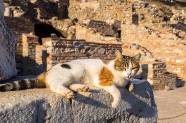 Antik kentin Ephesus Türkiye'de