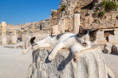 Antik kentin Ephesus Türkiye'de
