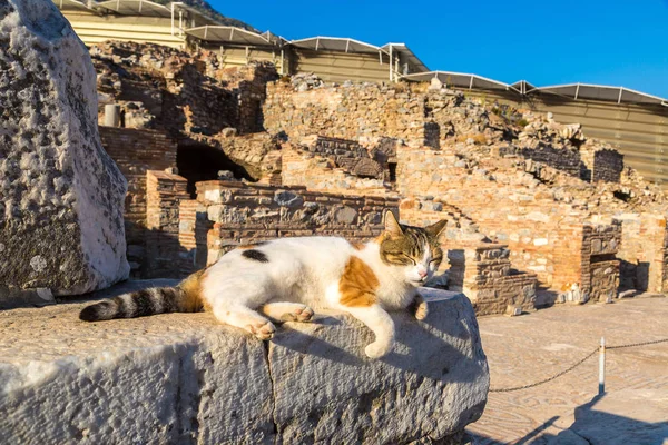 Oude stad Efeze in Turkije — Stockfoto