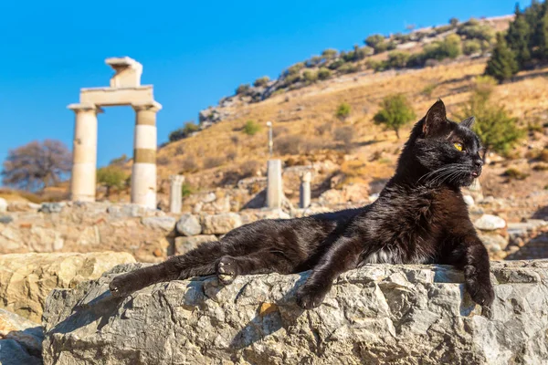 Oude stad Efeze in Turkije — Stockfoto