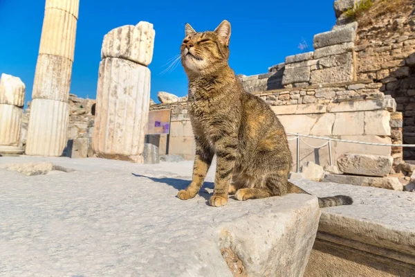 Oude stad Efeze in Turkije — Stockfoto