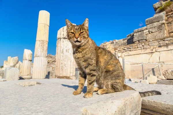Oude stad Efeze in Turkije — Stockfoto