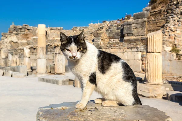 Oude stad Efeze in Turkije — Stockfoto