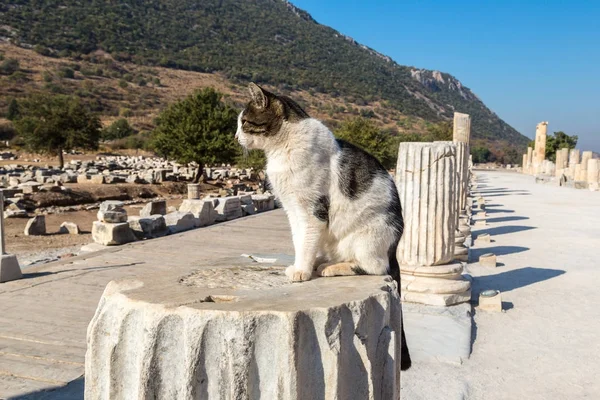 Ciudad antigua Éfeso en Turquía —  Fotos de Stock